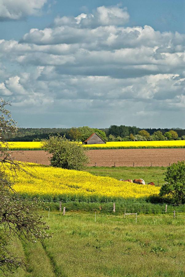 Appartamento Ferien Auf Tippen Hof Bleckede Esterno foto